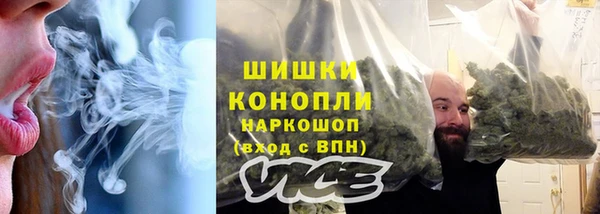 соль ск Арсеньев