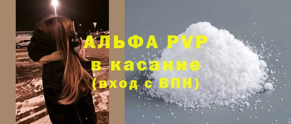 прущие грибы Аркадак