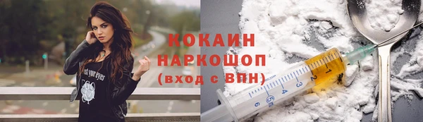 соль ск Арсеньев
