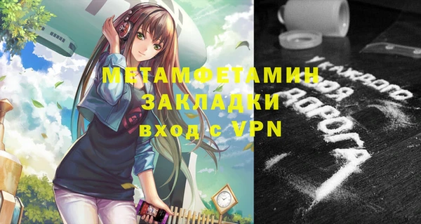 прущие грибы Аркадак