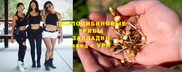 спайс Армянск