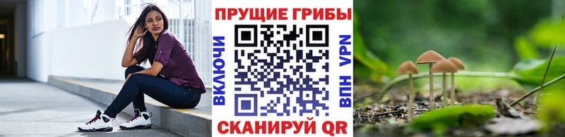 где найти наркотики  Собинка  Псилоцибиновые грибы MAGIC MUSHROOMS 